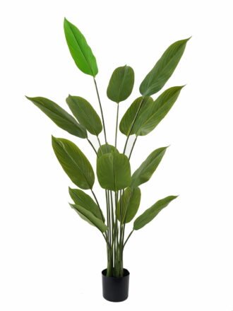 Artificial Tree 70*70*90cm Arrowroot in PP pot/9 lvs GS-66423015CONTI Tree&Plant 3,000+ sqm showroom with thousands of artificial flowers, plants & trees ready for global sourcing.