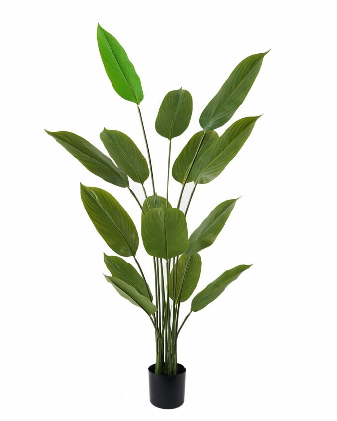 Artificial Tree 70*70*150cm Tree in PP pot/15 lvs GS-66423010CONTI Tree&Plant YeahFlower is one of Chinese leading OEM manufacturers and exporters , supplying the silk flowers, wholesale artificial trees