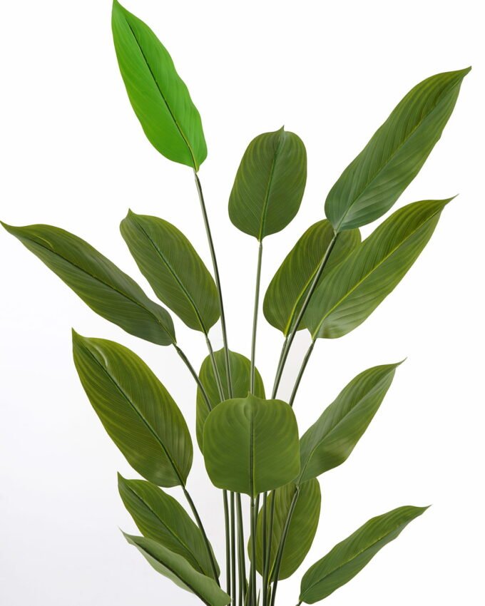 Artificial Tree 70*70*150cm Tree in PP pot/15 lvs GS-66423010CONTI Tree&Plant YeahFlower is one of Chinese leading OEM manufacturers and exporters , supplying the silk flowers, wholesale artificial trees