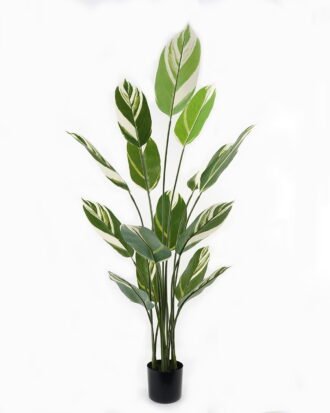 Artificial Tree 84*84*150cm White jade beauty in PP pot/15 lvs GS-66423019CONTI Tree&Plant 3,000+ sqm showroom with thousands of artificial flowers, plants & trees ready for global sourcing.