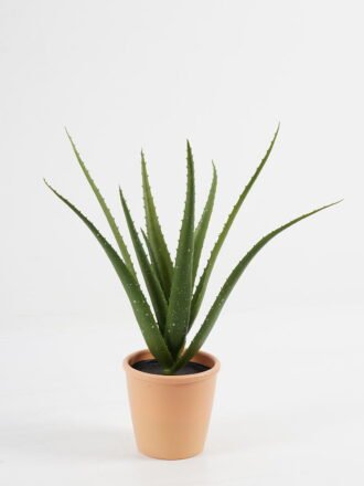 Artificial Table Plants 18*18*19cm Flower in PP pot GS-07023011KIK Potted Flowers&Plants 3,000+ sqm showroom with thousands of artificial flowers, plants & trees ready for global sourcing.