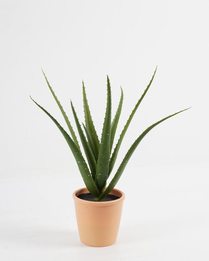 Artificial succulent 42*40cm Aloe in pp pot/10lvs GS-59522005RP Potted Flowers&Plants YeahFlower is one of Chinese leading OEM manufacturers and exporters , supplying the silk flowers, wholesale artificial trees