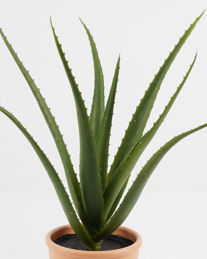 Artificial succulent 42*40cm Aloe in pp pot/10lvs GS-59522005RP Potted Flowers&Plants YeahFlower is one of Chinese leading OEM manufacturers and exporters , supplying the silk flowers, wholesale artificial trees