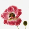 Artificial Flower 17*17*56cm Anemone *2 single stem GS-16823084-R1 Single Flowers YeahFlower is one of Chinese leading OEM manufacturers and exporters , supplying the silk flowers, wholesale artificial trees