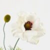 Artificial Flower 21*21*56cm Anemone *2 single stem GS-16823085-W1 Single Flowers YeahFlower is one of Chinese leading OEM manufacturers and exporters , supplying the silk flowers, wholesale artificial trees