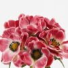 Artificial Flower 18*18*34cm Anemone *6 bundle GS-16823086-R1 Bouquet YeahFlower is one of Chinese leading OEM manufacturers and exporters , supplying the silk flowers, wholesale artificial trees