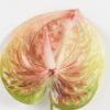 Artificial Flower 16*63cm Anthurium single stem GS-71623003-G4 Single Flowers YeahFlower is one of Chinese leading OEM manufacturers and exporters , supplying the silk flowers, wholesale artificial trees