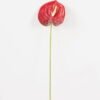 Artificial Flower 16*63cm Anthurium single stem GS-71623003-R3 Single Flowers YeahFlower is one of Chinese leading OEM manufacturers and exporters , supplying the silk flowers, wholesale artificial trees
