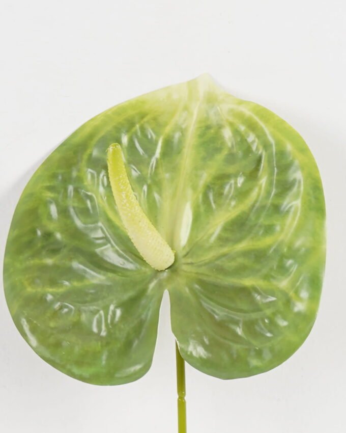 Artificial Flower 16*63cm Anthurium single stem GS-71623003 Single Flowers YeahFlower is one of Chinese leading OEM manufacturers and exporters , supplying the silk flowers, wholesale artificial trees