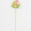 Artificial Flower 16*63cm Anthurium single stem GS-71623003 Single Flowers YeahFlower is one of Chinese leading OEM manufacturers and exporters , supplying the silk flowers, wholesale artificial trees