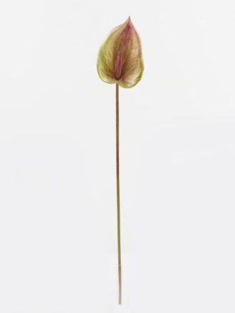 Artificial Flower 22*103CM The Pea Blossom Spray*2 GS-26220015-C1 Single Flowers 3,000+ sqm showroom with thousands of artificial flowers, plants & trees ready for global sourcing.