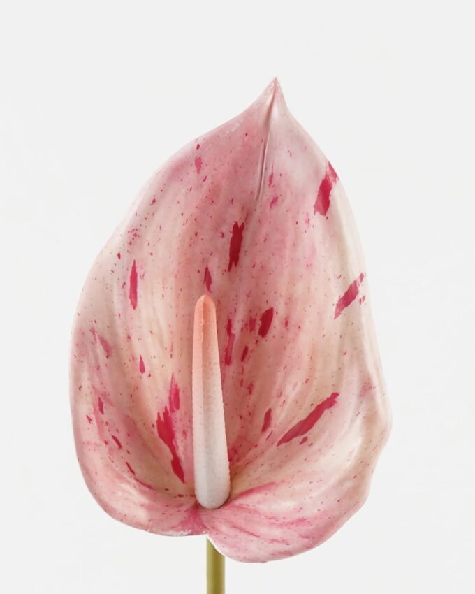 Artificial Flower 14*84cm Anthurium single stem GS-71623004-P3 Single Flowers YeahFlower is one of Chinese leading OEM manufacturers and exporters , supplying the silk flowers, wholesale artificial trees