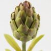 Artificial Flower 8*8*55cm Artichoke single stem GS-72523007-G3 Single Flowers YeahFlower is one of Chinese leading OEM manufacturers and exporters , supplying the silk flowers, wholesale artificial trees
