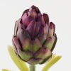 Artificial Flower 8*8*55cm Artichoke single stem GS-72523007 Single Flowers YeahFlower is one of Chinese leading OEM manufacturers and exporters , supplying the silk flowers, wholesale artificial trees