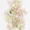 Artificial Flower Bougainvillea speetabilis single stem GS-4070003P24P144-P1_5 Artificial Flower 20*85cm Bougainvillea speetabilis single stem GS-4070003P24P144-P1 Single Flowers YeahFlower is one of Chinese leading OEM manufacturers and exporters , supplying the silk flowers, wholesale artificial trees