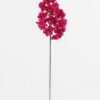Artificial Flower Bougainvillea speetabilis single stem GS-4070003P24P144-R1_2 Artificial Flower 20*85cm Bougainvillea speetabilis single stem GS-4070003P24P144-R1 Single Flowers YeahFlower is one of Chinese leading OEM manufacturers and exporters , supplying the silk flowers, wholesale artificial trees
