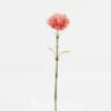 Artificial Flower Carnation moist real touch single stem GS-72023015-P3 Artificial Flower 9*9*50cm Carnation moist real touch single stem GS-72023015-P3 Single Flowers YeahFlower is one of Chinese leading OEM manufacturers and exporters , supplying the silk flowers, wholesale artificial trees