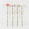 Artificial Flower Carnation moist real touch single stem GS-72023015_2 Artificial Flower 9*9*50cm Carnation moist real touch single stem GS-72023015 Single Flowers YeahFlower is one of Chinese leading OEM manufacturers and exporters , supplying the silk flowers, wholesale artificial trees