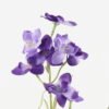 Artificial Flower 14*14*84cm Delphinium *3 single stem GS-71623002-Z2 Single Flowers YeahFlower is one of Chinese leading OEM manufacturers and exporters , supplying the silk flowers, wholesale artificial trees