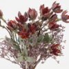 Artificial Flower 20*20*39cm Flower bush GS-40723027-Z1 Flowers Bush YeahFlower is one of Chinese leading OEM manufacturers and exporters , supplying the silk flowers, wholesale artificial trees