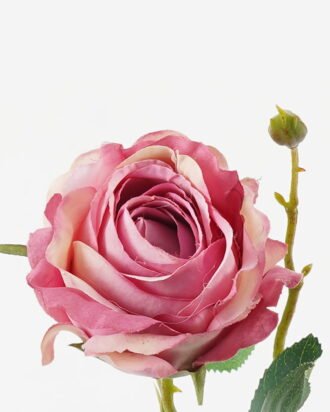 Artificial Flower 15*15*45cm French rose *2 single stem GS-48723013-P3 Single Flowers YeahFlower is one of Chinese leading OEM manufacturers and exporters , supplying the silk flowers, wholesale artificial trees