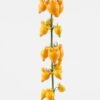 Artificial Flower 13*13*70cm Fruit *15 single stem GS-72023005 Single Flowers YeahFlower is one of Chinese leading OEM manufacturers and exporters , supplying the silk flowers, wholesale artificial trees