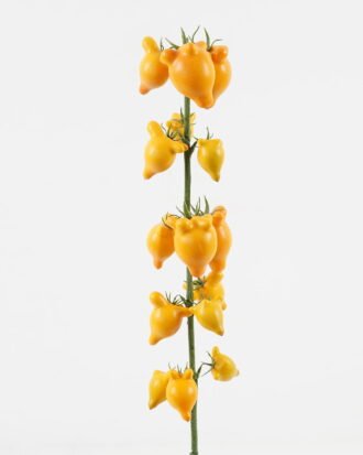 Artificial Flower 13*13*70cm Fruit *15 single stem GS-72023005 Single Flowers YeahFlower is one of Chinese leading OEM manufacturers and exporters , supplying the silk flowers, wholesale artificial trees