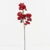 Artificial Flower 15*15*70cm Fruit *2 single stem GS-72023001-R1 Single Flowers YeahFlower is one of Chinese leading OEM manufacturers and exporters , supplying the silk flowers, wholesale artificial trees