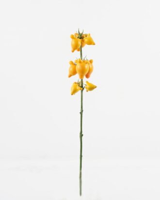 Artificial Flower 13*13*70cm Fruit *9 single stem GS-72023004 Single Flowers YeahFlower is one of Chinese leading OEM manufacturers and exporters , supplying the silk flowers, wholesale artificial trees