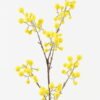 Artificial Flower 20*20*75cm Fruit single stem GS-71523004 Single Flowers YeahFlower is one of Chinese leading OEM manufacturers and exporters , supplying the silk flowers, wholesale artificial trees