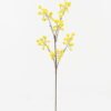 Artificial Flower 20*20*75cm Fruit single stem GS-71523004 Single Flowers YeahFlower is one of Chinese leading OEM manufacturers and exporters , supplying the silk flowers, wholesale artificial trees
