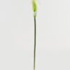 Artificial Flower GS-04523004_4 Artificial Flower GS-04523004 Single Flowers YeahFlower is one of Chinese leading OEM manufacturers and exporters , supplying the silk flowers, wholesale artificial trees