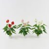 Artificial Flower  GS-04523006 Potted Flowers&Plants YeahFlower is one of Chinese leading OEM manufacturers and exporters , supplying the silk flowers, wholesale artificial trees