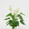 Artificial Flower  GS-04523006 Potted Flowers&Plants YeahFlower is one of Chinese leading OEM manufacturers and exporters , supplying the silk flowers, wholesale artificial trees