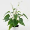 Artificial Flower GS-04523007_2 Artificial Flower GS-04523007 Potted Flowers&Plants YeahFlower is one of Chinese leading OEM manufacturers and exporters , supplying the silk flowers, wholesale artificial trees