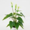 Artificial Flower GS-04523007_4 Artificial Flower GS-04523007 Potted Flowers&Plants YeahFlower is one of Chinese leading OEM manufacturers and exporters , supplying the silk flowers, wholesale artificial trees