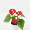Artificial Flower  GS-04523010 Potted Flowers&Plants YeahFlower is one of Chinese leading OEM manufacturers and exporters , supplying the silk flowers, wholesale artificial trees