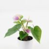 Artificial Flower  GS-04523010 Potted Flowers&Plants YeahFlower is one of Chinese leading OEM manufacturers and exporters , supplying the silk flowers, wholesale artificial trees