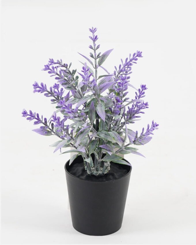 Artificial Flower 10*10*16cm Grass in PP pot GS-05521087RBC Potted Flowers&Plants YeahFlower is one of Chinese leading OEM manufacturers and exporters , supplying the silk flowers, wholesale artificial trees
