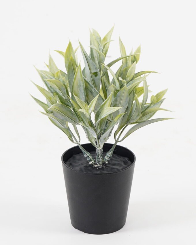 Artificial Flower 10*10*16cm Grass in PP pot GS-05521087RBC Potted Flowers&Plants YeahFlower is one of Chinese leading OEM manufacturers and exporters , supplying the silk flowers, wholesale artificial trees