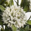 Artificial Flower Hydrangea stenophylla 6 single stem GS-65223004-W1_5 Artificial Flower 17*17*34cm Hydrangea stenophylla *6 single stem GS-65223004-W1 Flowers Bush YeahFlower is one of Chinese leading OEM manufacturers and exporters , supplying the silk flowers, wholesale artificial trees