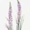 Artificial Flower 11*11*79cm Lavender *2 single stem GS-36623037 Single Flowers YeahFlower is one of Chinese leading OEM manufacturers and exporters , supplying the silk flowers, wholesale artificial trees