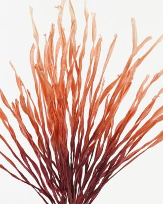 Artificial Flower 25*25*66cm Leaf bush GS-71423011 Flowers Bush YeahFlower is one of Chinese leading OEM manufacturers and exporters , supplying the silk flowers, wholesale artificial trees Artificial Flower 25*25*66cm Leaf bush GS-71423011 Flowers Bush YeahFlower is one of Chinese leading OEM manufacturers and exporters , supplying the silk flowers, wholesale artificial trees