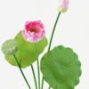 Artificial Flower 30*30*65cm Lotus flower *5 bush GS-12723001 Single Flowers YeahFlower is one of Chinese leading OEM manufacturers and exporters , supplying the silk flowers, wholesale artificial trees