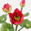 Artificial Flower 18*18*21cm Lotus flower *7 bush GS-12723003 Single Flowers YeahFlower is one of Chinese leading OEM manufacturers and exporters , supplying the silk flowers, wholesale artificial trees