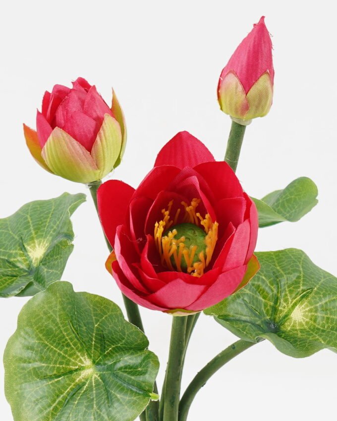 Artificial Flower 18*18*21cm Lotus flower *7 bush GS-12723003 Single Flowers YeahFlower is one of Chinese leading OEM manufacturers and exporters , supplying the silk flowers, wholesale artificial trees