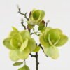 Artificial Flower 23*48cm Magnolia *3 single stem GS-64923018-G1 Single Flowers YeahFlower is one of Chinese leading OEM manufacturers and exporters , supplying the silk flowers, wholesale artificial trees