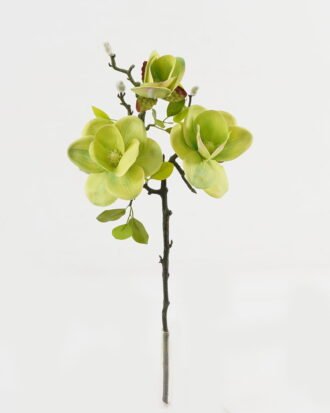 Artificial Flower 23*48cm Magnolia *3 single stem GS-64923018-G1 Single Flowers YeahFlower is one of Chinese leading OEM manufacturers and exporters , supplying the silk flowers, wholesale artificial trees