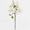 Artificial Flower 23*48cm Magnolia *3 single stem GS-64923018-W1 Single Flowers YeahFlower is one of Chinese leading OEM manufacturers and exporters , supplying the silk flowers, wholesale artificial trees