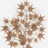 Artificial Flower 33*73cm Maple leaf *3 single stem GS-71223005 Single Flowers YeahFlower is one of Chinese leading OEM manufacturers and exporters , supplying the silk flowers, wholesale artificial trees